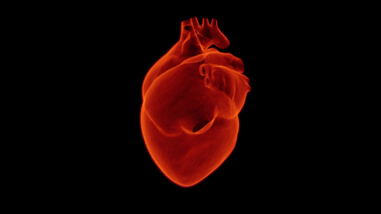 Kardiologia – podstawowe informacje